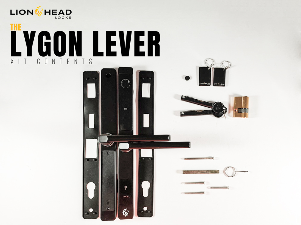 THE LYGON (LEVER) in the box